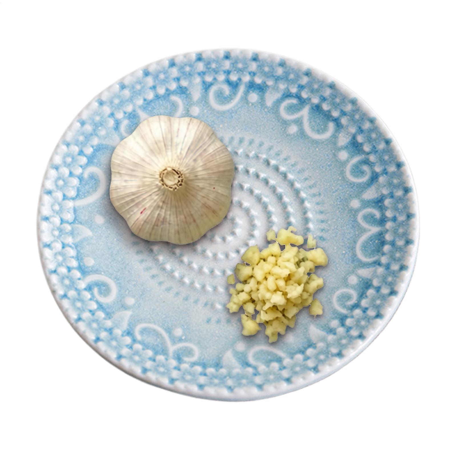 Kitchen Gadgets Peeler - Plato rallador de ajo y queso,